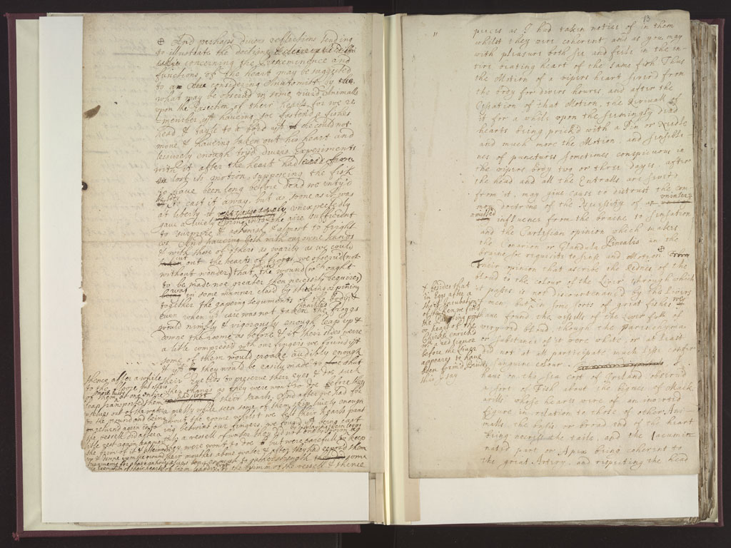 Boyle Papers Volume 8 Fol. 12v-13r