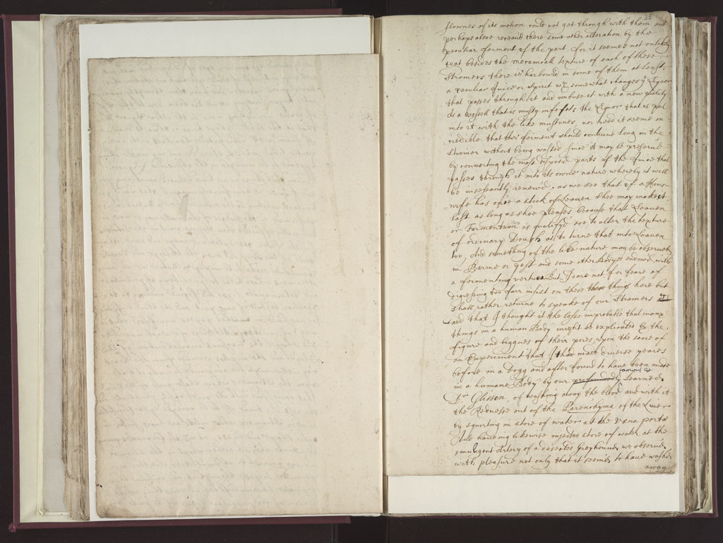 Boyle Papers Volume 8 Fol. 34v-35r