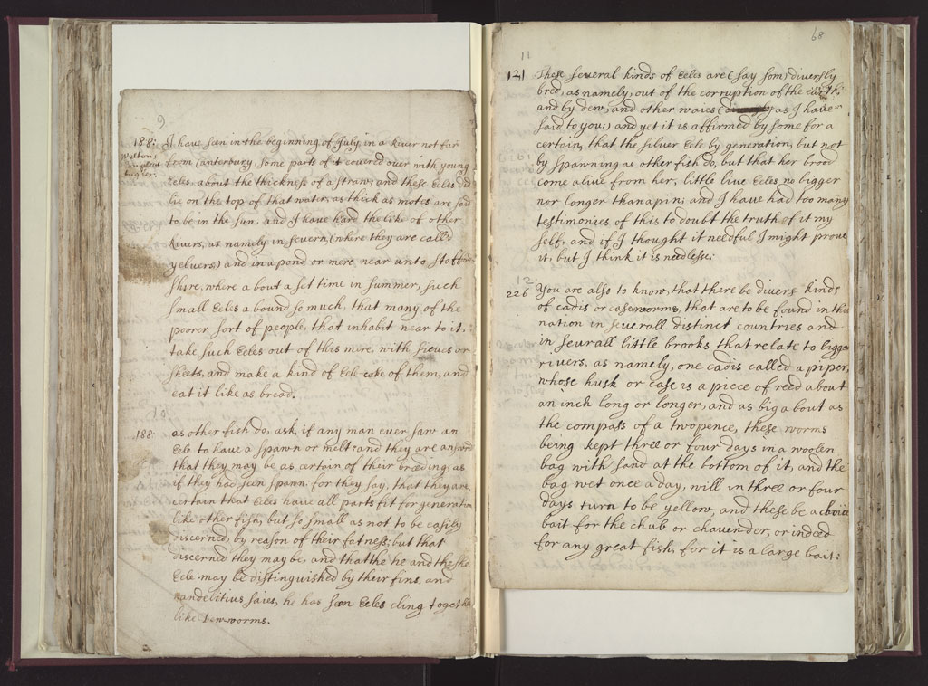 Boyle Papers Volume 8 Fol. 67v-68r