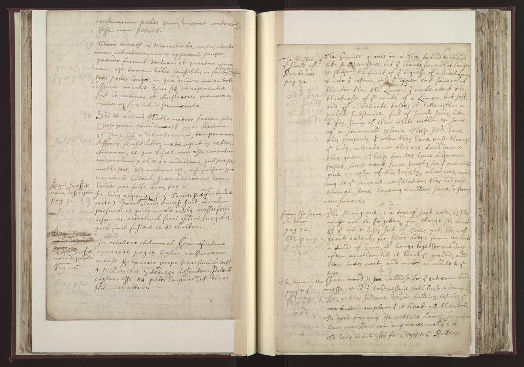 Boyle Papers Volume 8 Fol. 73v-74r