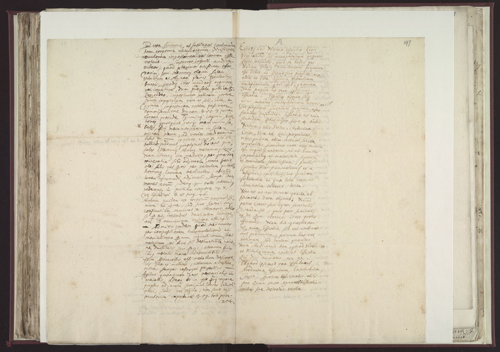 Boyle Papers Volume 8 Fol. 196v-197r