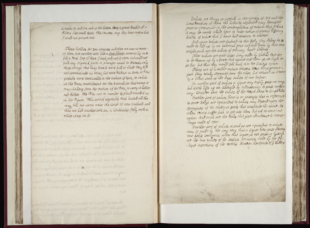 Boyle Papers Volume 9 Fol. 49v-50r