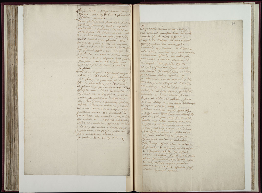 Boyle Papers Volume 10 Fol. 124v-125r