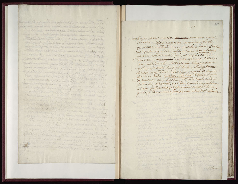 Boyle Papers Volume 17 Fol. 24v-25r