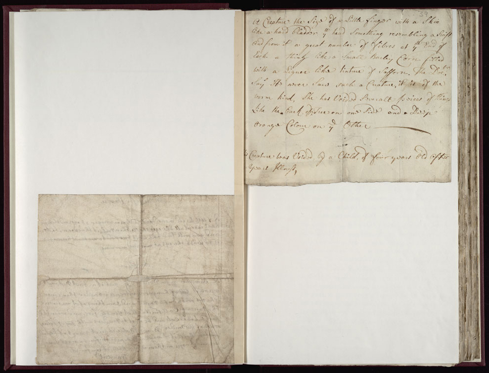 Boyle Papers Volume 17 Fol. 38v-39r