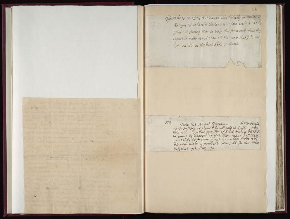 Boyle Papers Volume 17 Fol. 45v-46r