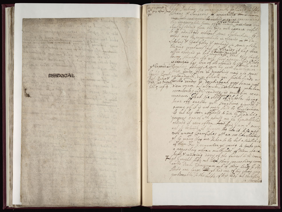 Boyle Papers Volume 17 Fol. 107v-108r