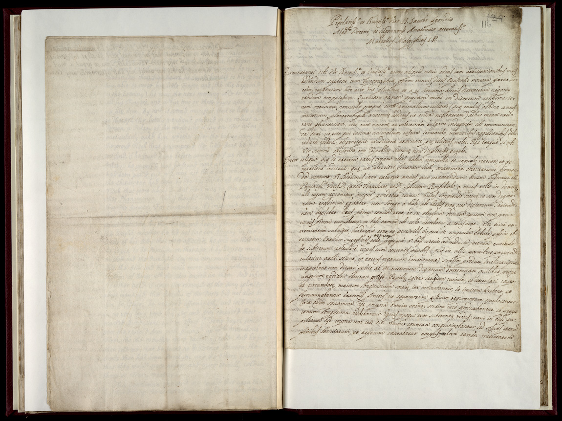 Boyle Papers Volume 17 Fol. 115v-116r