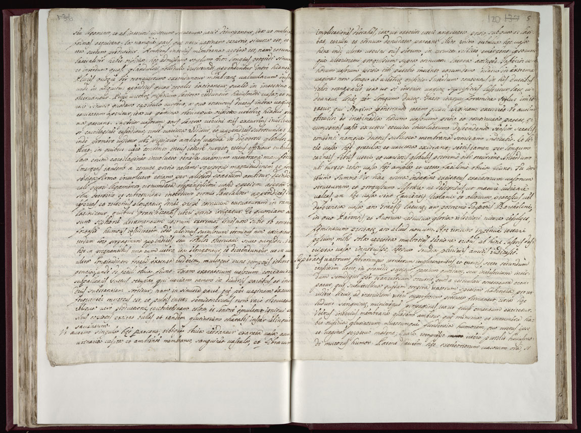 Boyle Papers Volume 17 Fol. 119v-120r