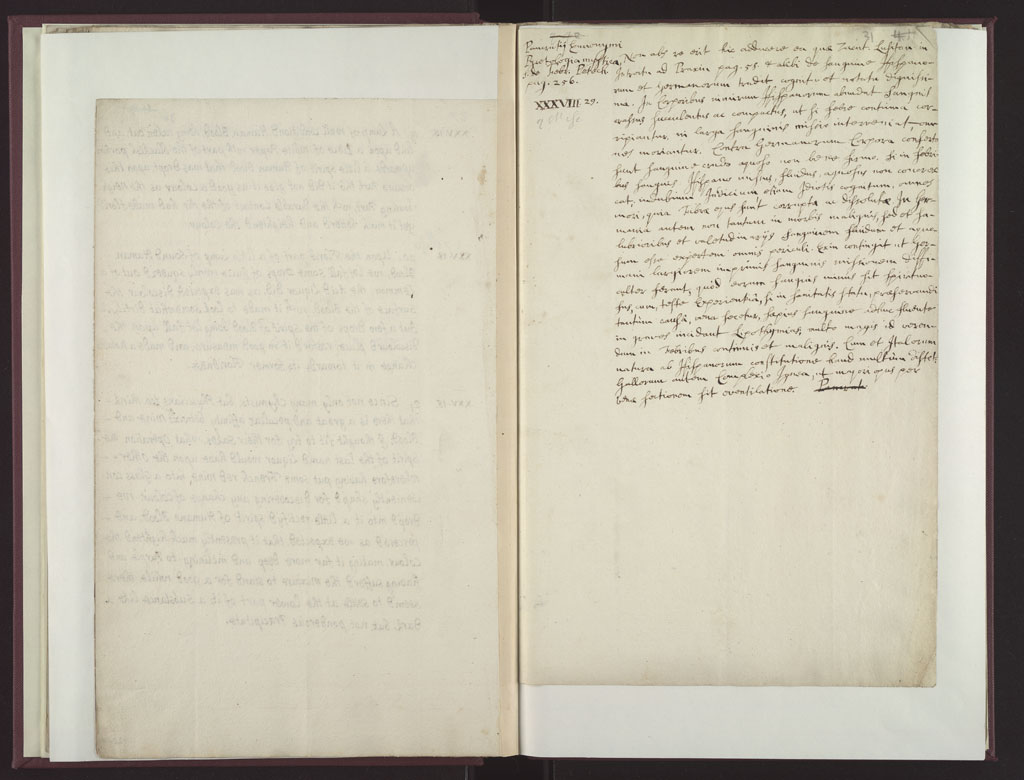 Boyle Papers Volume 18 Fol. 30v-31r