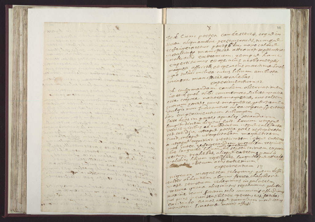 Boyle Papers Volume 25 pp. 110-11