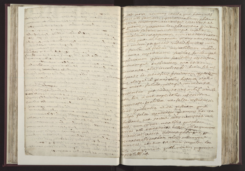 Boyle Papers Volume 25 pp. 116-17