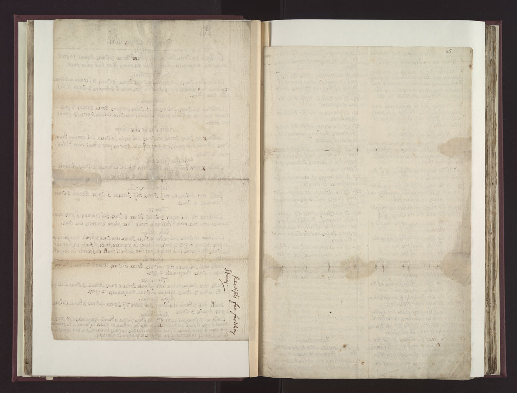 Boyle Papers Volume 26 Fol. 44v-45r