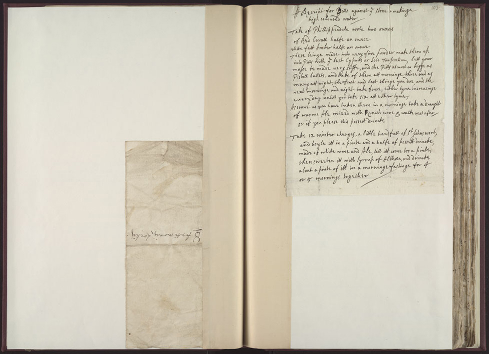 Boyle Papers Volume 26 Fol. 102v-103r
