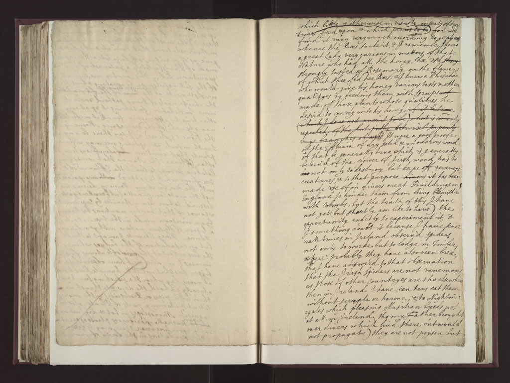 Boyle Papers Volume 26 Fol. 172v-173r