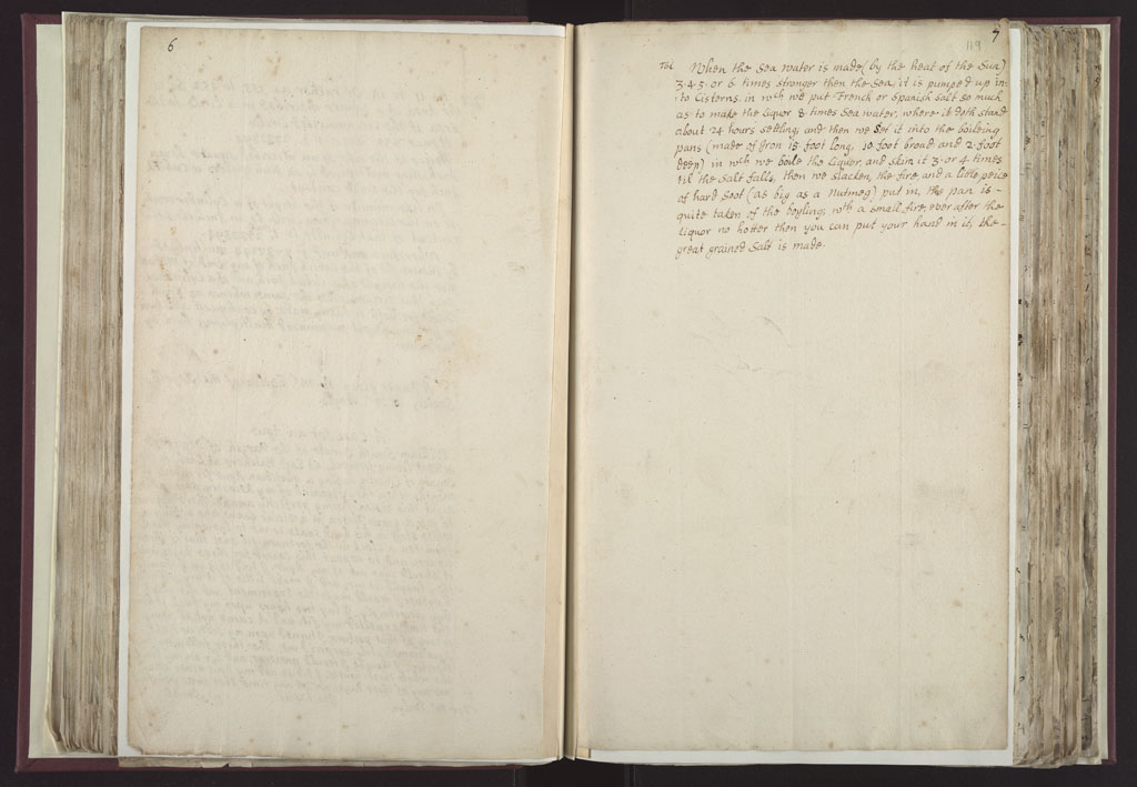 Boyle Papers Volume 28 Pp. 118-119