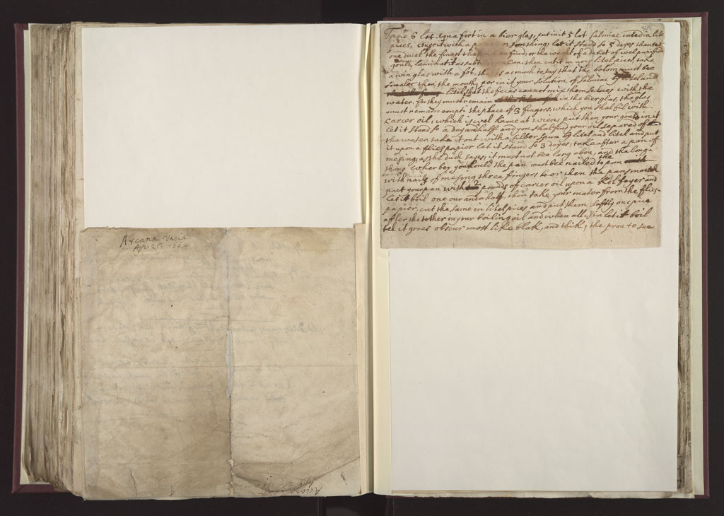 Boyle Papers Volume 28 Pp.368-369