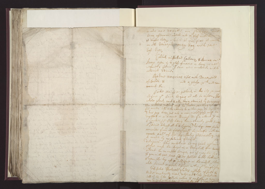 Boyle Papers Volume 28 Pp.410-411