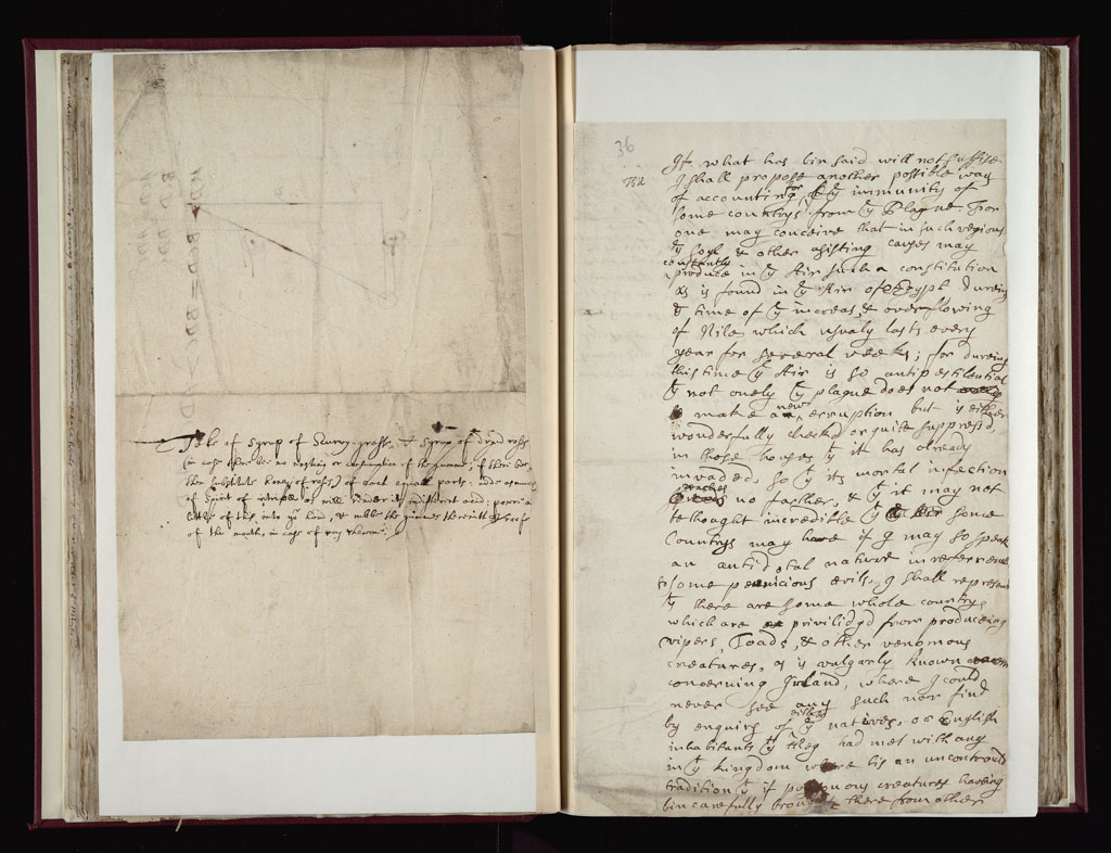 Boyle Papers Volume 38 Fol. 35v-36r