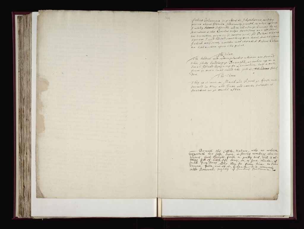 Boyle Papers Volume 38 Fol. 143v-144r