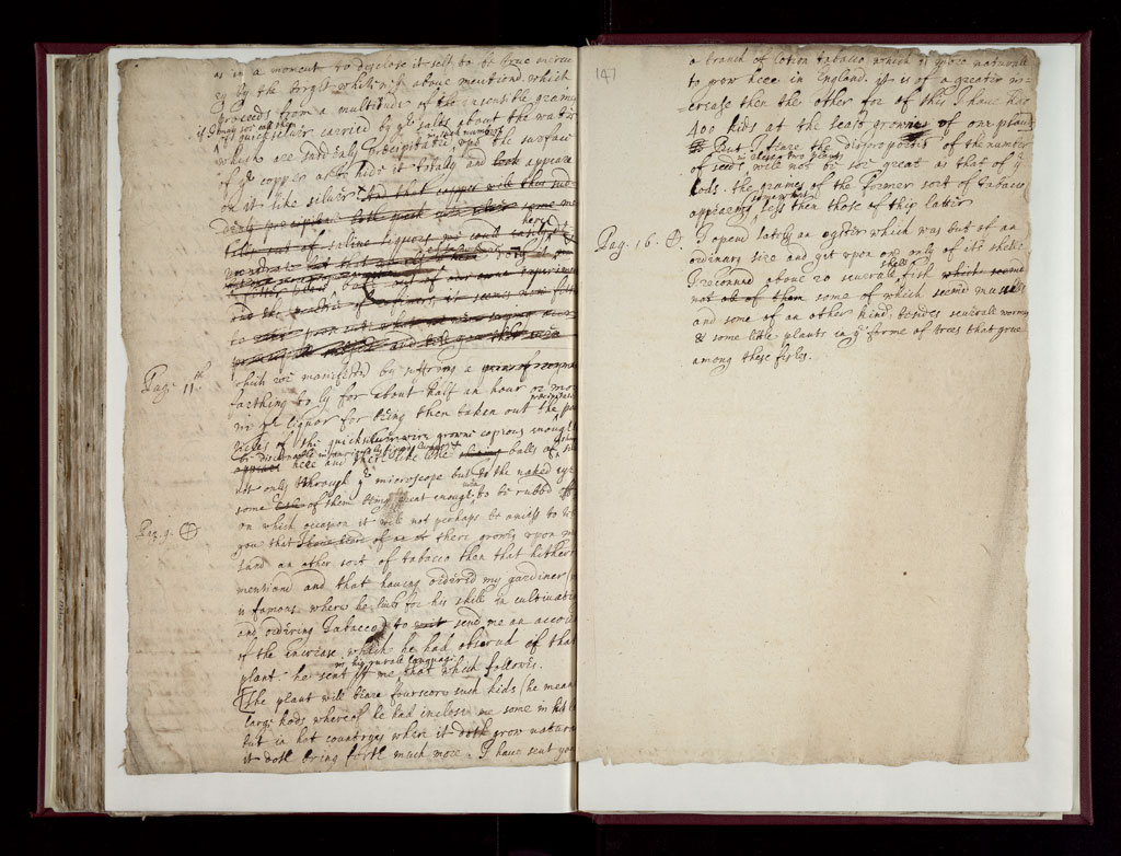 Boyle Papers Volume 38 Fol. 146v-147r